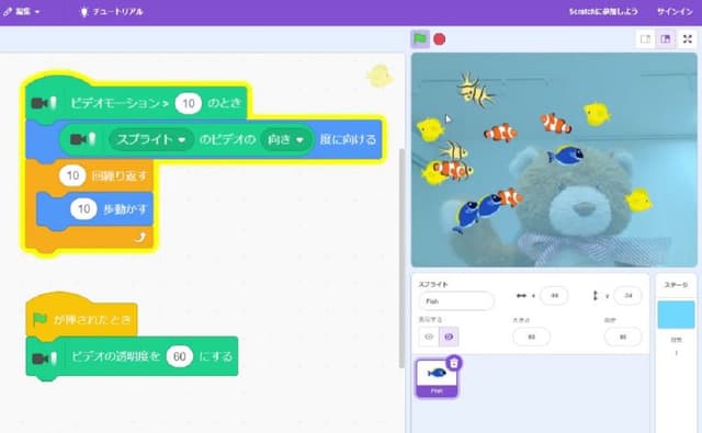 水そうに入ってお魚にさわろう