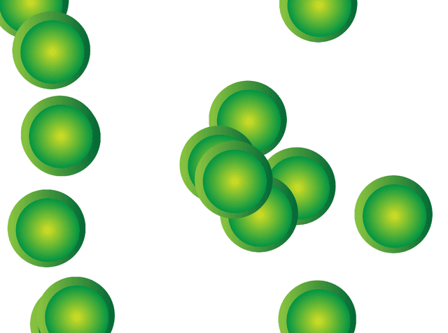 もぐらをクローンしよう